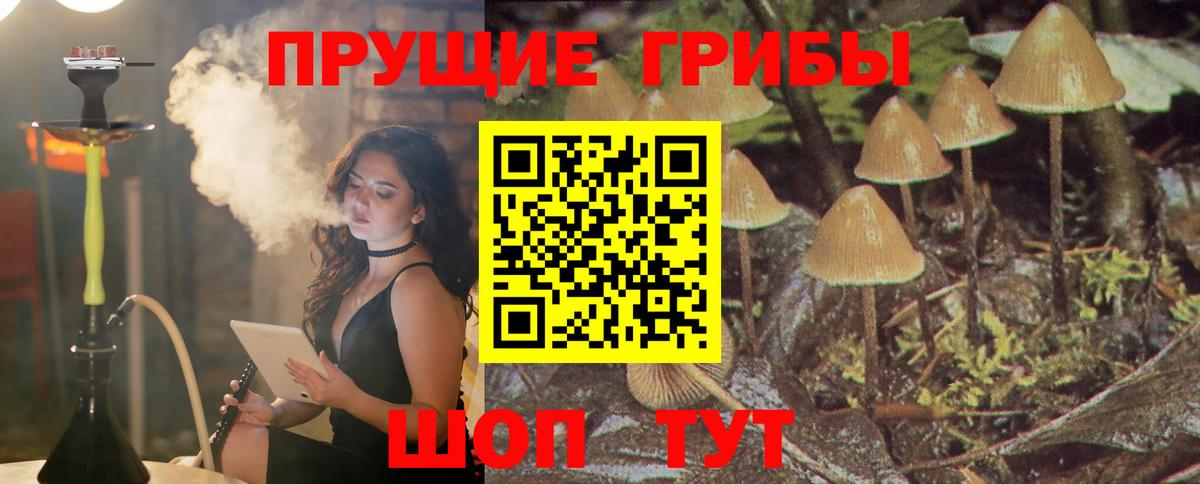 Дивногорск  Псилоцибиновые грибы GOLDEN TEACHER  Вход с VPN 